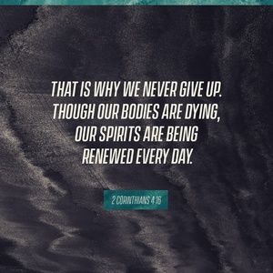 Meet your Posher, Ivory